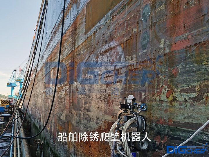 �������P���ڙC����